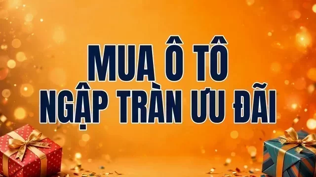 Địa điểm hỗ trợ xem xe tại Bình Dương